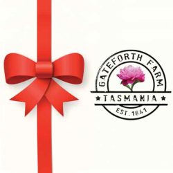 gateforth-gift-vouchers-570x570